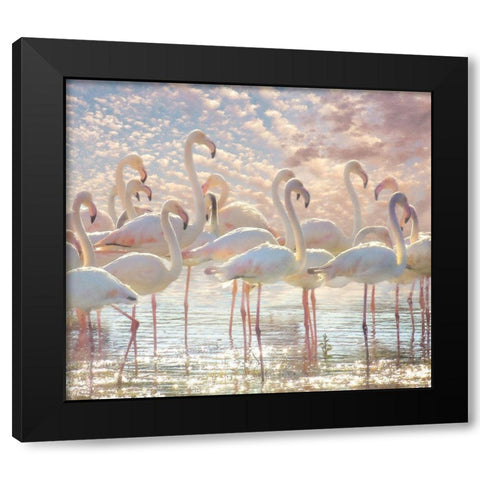 Quiet Wave of Pink Black Modern Wood Framed Art Print by Hunziker, Steve