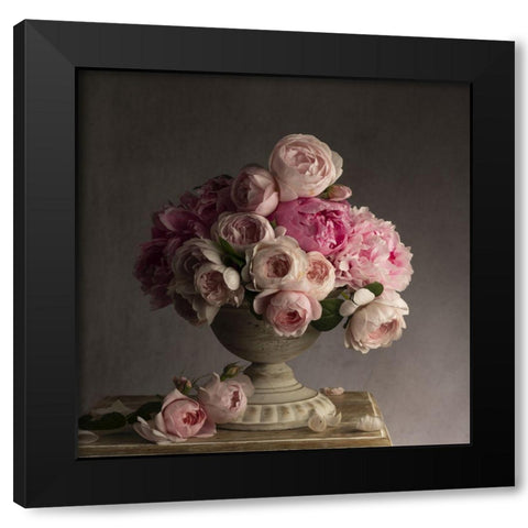Vintage Pink Petals Black Modern Wood Framed Art Print with Double Matting by McLean, Leah