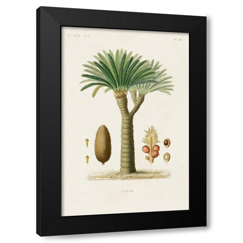 Antique Tree with Fruit V Black Modern Wood Framed Art Print by Unknown
