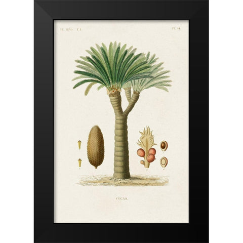Antique Tree with Fruit V Black Modern Wood Framed Art Print by Unknown