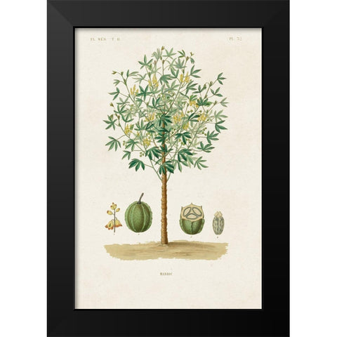 Antique Tree with Fruit VIII Black Modern Wood Framed Art Print by Unknown
