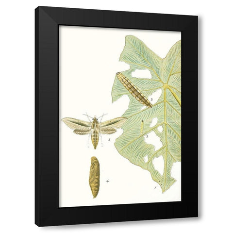 Antique Butterflies and Leaves I Black Modern Wood Framed Art Print by Vision Studio