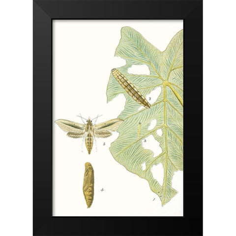 Antique Butterflies and Leaves I Black Modern Wood Framed Art Print by Vision Studio