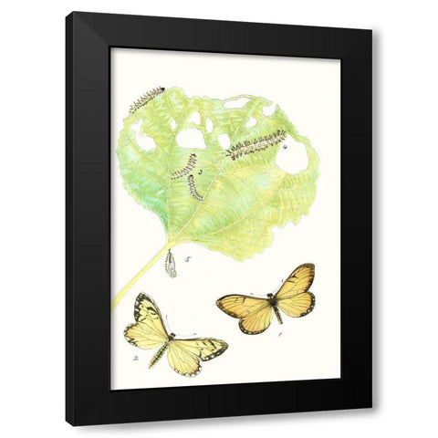 Antique Butterflies and Leaves II Black Modern Wood Framed Art Print with Double Matting by Vision Studio