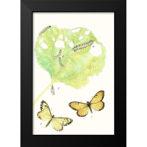 Antique Butterflies and Leaves II Black Modern Wood Framed Art Print by Vision Studio