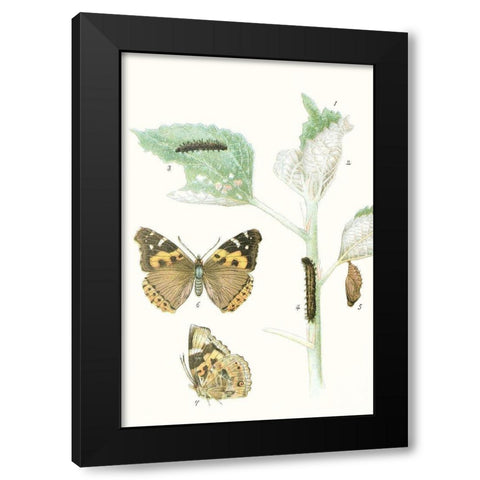 Antique Butterflies and Leaves III Black Modern Wood Framed Art Print by Vision Studio