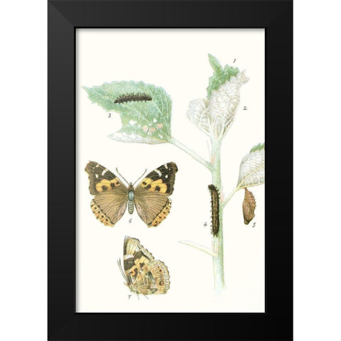 Antique Butterflies and Leaves III Black Modern Wood Framed Art Print by Vision Studio