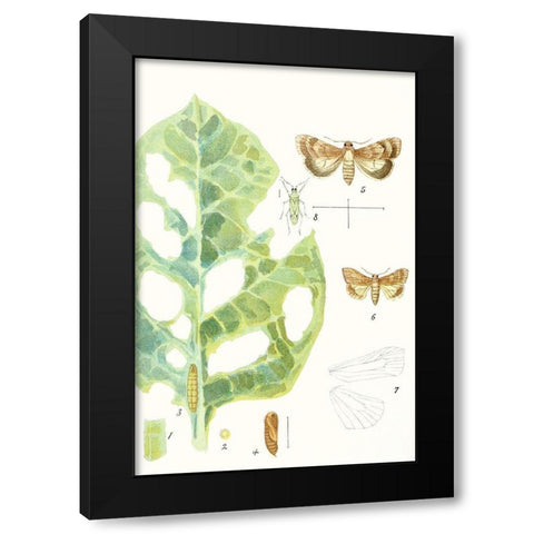 Antique Butterflies and Leaves IV Black Modern Wood Framed Art Print by Vision Studio