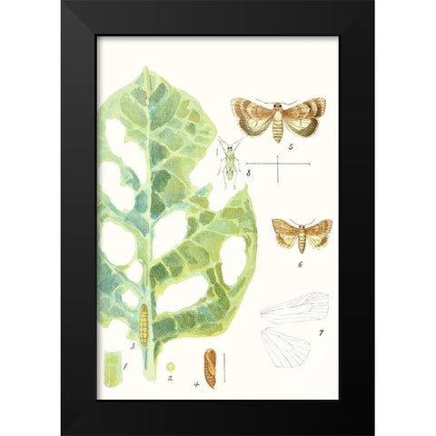 Antique Butterflies and Leaves IV Black Modern Wood Framed Art Print by Vision Studio