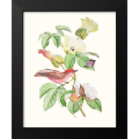 Cuvier Bird And Habitat III Black Modern Wood Framed Art Print by Cuvier, Georges