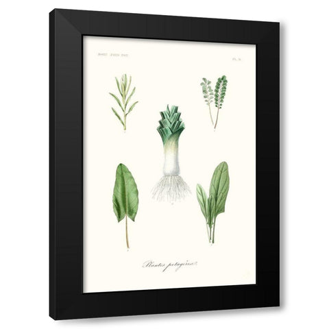 Fruit And Vegetable Varieties I Black Modern Wood Framed Art Print by Unknown
