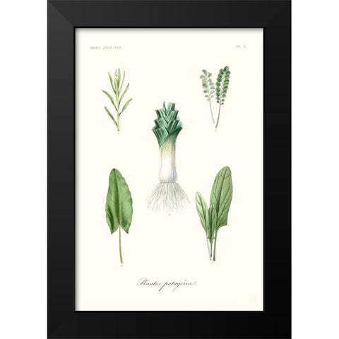 Fruit And Vegetable Varieties I Black Modern Wood Framed Art Print by Unknown