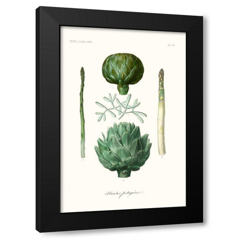 Fruit And Vegetable Varieties II Black Modern Wood Framed Art Print by Unknown