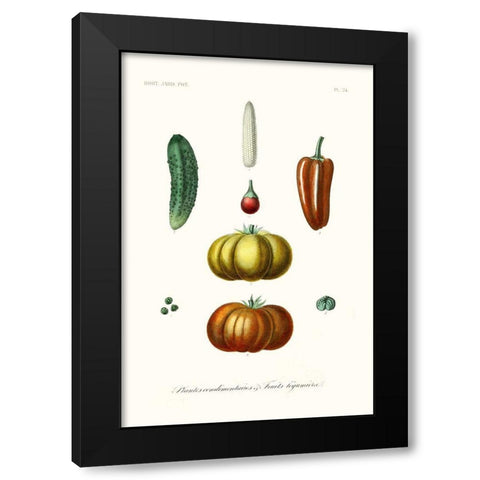 Fruit And Vegetable Varieties III Black Modern Wood Framed Art Print with Double Matting by Unknown