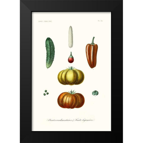 Fruit And Vegetable Varieties III Black Modern Wood Framed Art Print by Unknown