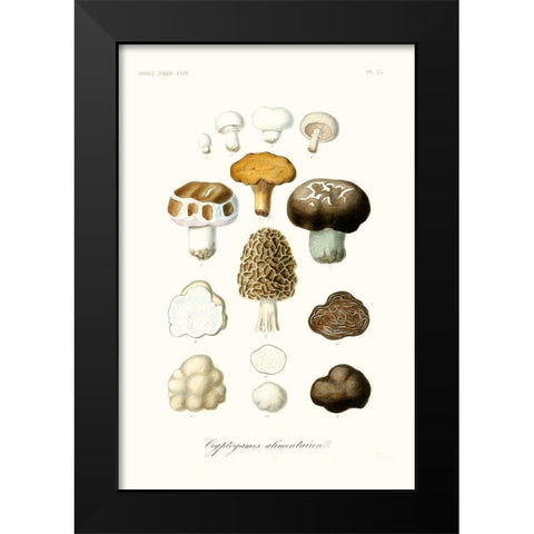 Fruit And Vegetable Varieties IV Black Modern Wood Framed Art Print by Unknown