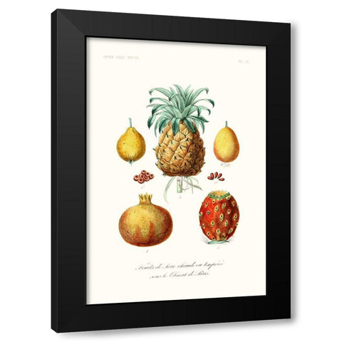 Fruit And Vegetable Varieties V Black Modern Wood Framed Art Print by Unknown