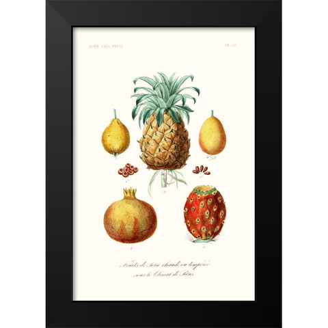 Fruit And Vegetable Varieties V Black Modern Wood Framed Art Print by Unknown