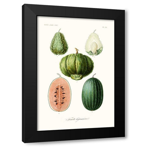 Fruit And Vegetable Varieties VIII Black Modern Wood Framed Art Print by Unknown