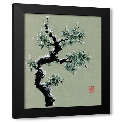 Snowy Pine II Black Modern Wood Framed Art Print by Rae, Nan