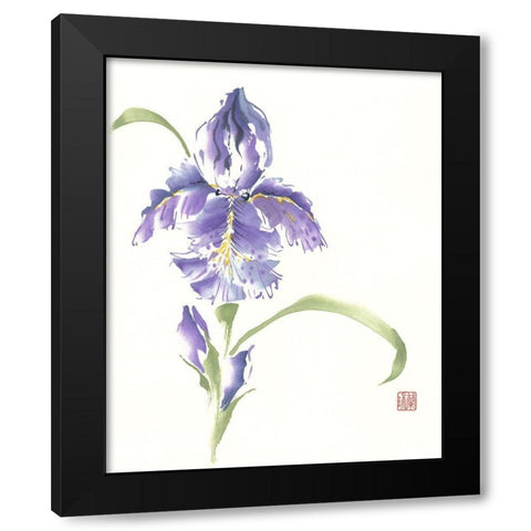 Reigning Prince Black Modern Wood Framed Art Print with Double Matting by Rae, Nan