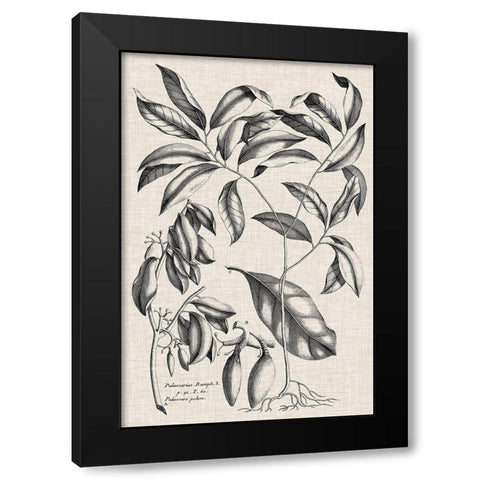 Custom Black And Oatmeal Linen Botanical I Black Modern Wood Framed Art Print with Double Matting by Vision Studio