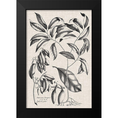 Custom Black And Oatmeal Linen Botanical I Black Modern Wood Framed Art Print by Vision Studio