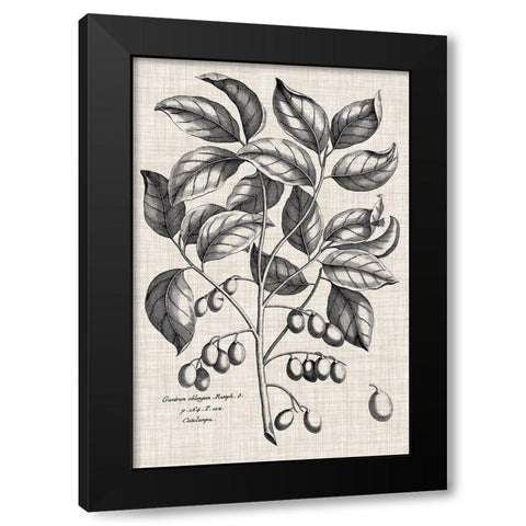 Custom Black And Oatmeal Linen Botanical II Black Modern Wood Framed Art Print by Vision Studio