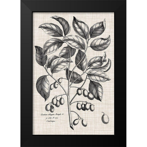 Custom Black And Oatmeal Linen Botanical II Black Modern Wood Framed Art Print by Vision Studio