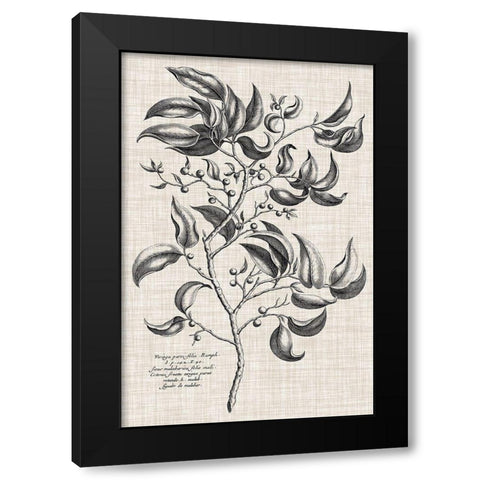 Custom Black And Oatmeal Linen Botanical III Black Modern Wood Framed Art Print with Double Matting by Vision Studio