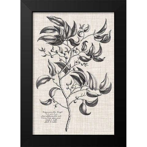 Custom Black And Oatmeal Linen Botanical III Black Modern Wood Framed Art Print by Vision Studio