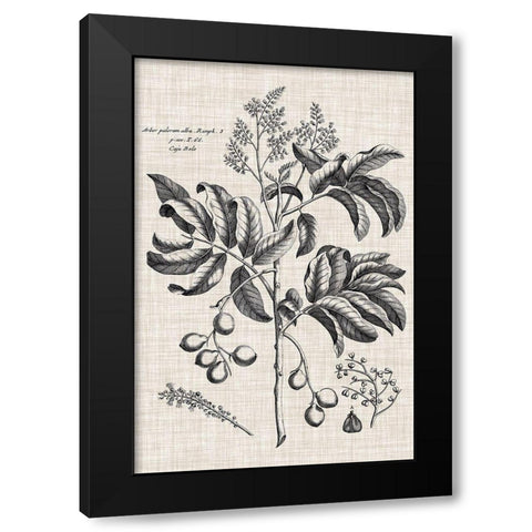 Custom Black And Oatmeal Linen Botanical IV Black Modern Wood Framed Art Print by Vision Studio