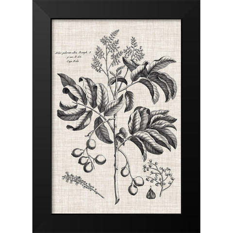 Custom Black And Oatmeal Linen Botanical IV Black Modern Wood Framed Art Print by Vision Studio