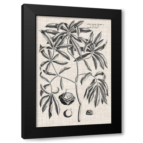 Custom Black And Oatmeal Linen Botanical V Black Modern Wood Framed Art Print with Double Matting by Vision Studio