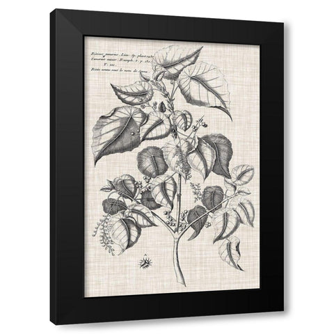 Custom Black And Oatmeal Linen Botanical VI Black Modern Wood Framed Art Print with Double Matting by Vision Studio