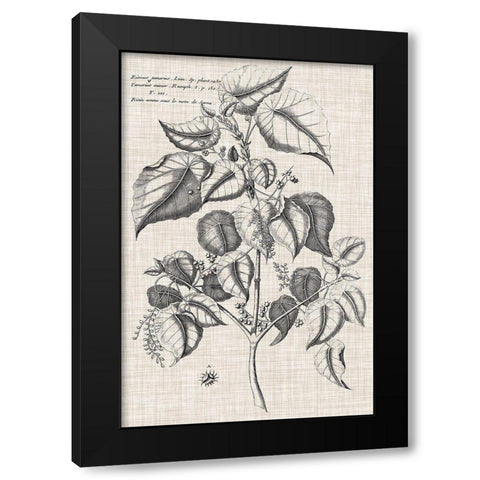 Custom Black And Oatmeal Linen Botanical VI Black Modern Wood Framed Art Print by Vision Studio