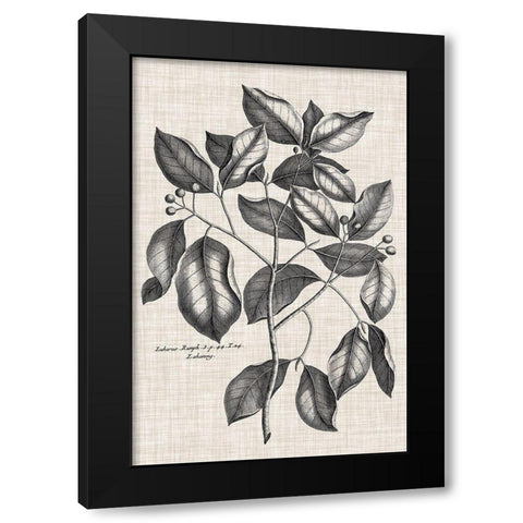 Custom Black And Oatmeal Linen Botanical VII Black Modern Wood Framed Art Print with Double Matting by Vision Studio