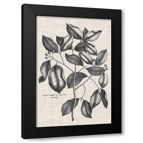 Custom Black And Oatmeal Linen Botanical VII Black Modern Wood Framed Art Print by Vision Studio