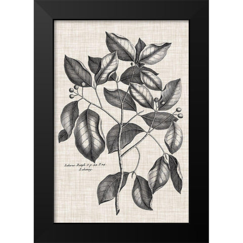 Custom Black And Oatmeal Linen Botanical VII Black Modern Wood Framed Art Print by Vision Studio