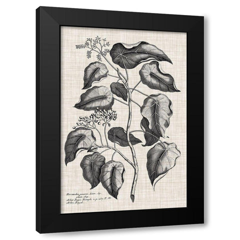 Custom Black And Oatmeal Linen Botanical VIII Black Modern Wood Framed Art Print by Vision Studio