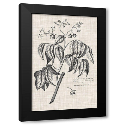 Custom Black And Oatmeal Linen Botanical IX Black Modern Wood Framed Art Print by Vision Studio