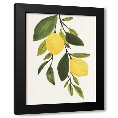 Lemon Branch II Black Modern Wood Framed Art Print by Warren, Annie