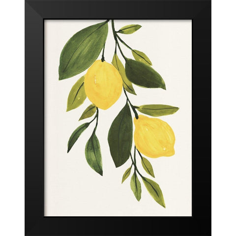 Lemon Branch II Black Modern Wood Framed Art Print by Warren, Annie