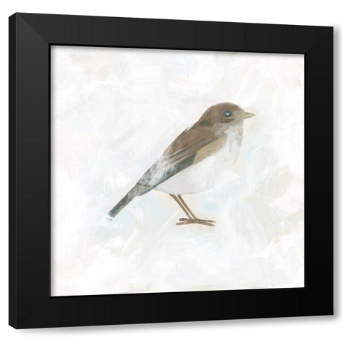 Feathered Fresco II Black Modern Wood Framed Art Print with Double Matting by Vess, June Erica