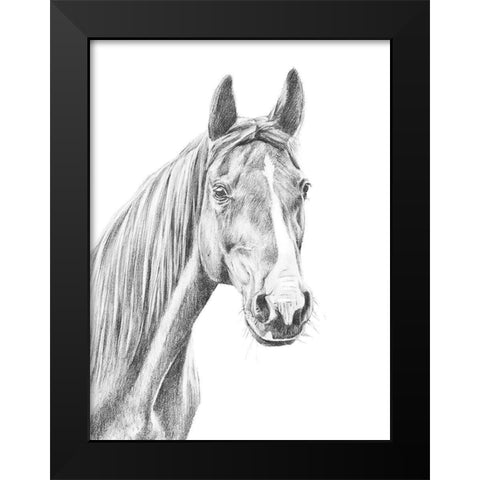 Equine Portrait Sketch I Black Modern Wood Framed Art Print by Warren, Annie