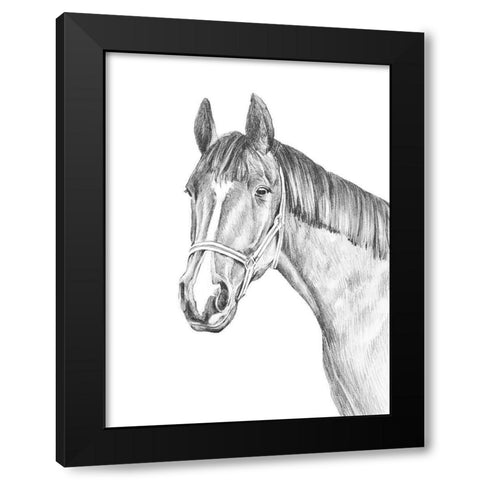 Equine Portrait Sketch II Black Modern Wood Framed Art Print with Double Matting by Warren, Annie