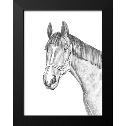 Equine Portrait Sketch II Black Modern Wood Framed Art Print by Warren, Annie