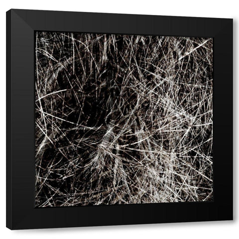 Neutral Drift IV Black Modern Wood Framed Art Print with Double Matting by Aryai, Sia