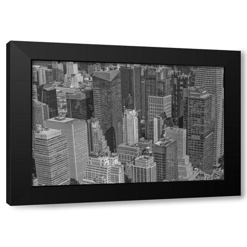 Velvet Views II Black Modern Wood Framed Art Print by Stelfox, Norm