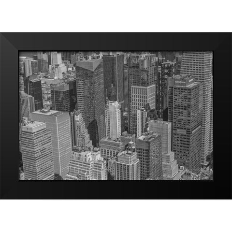 Velvet Views II Black Modern Wood Framed Art Print by Stelfox, Norm